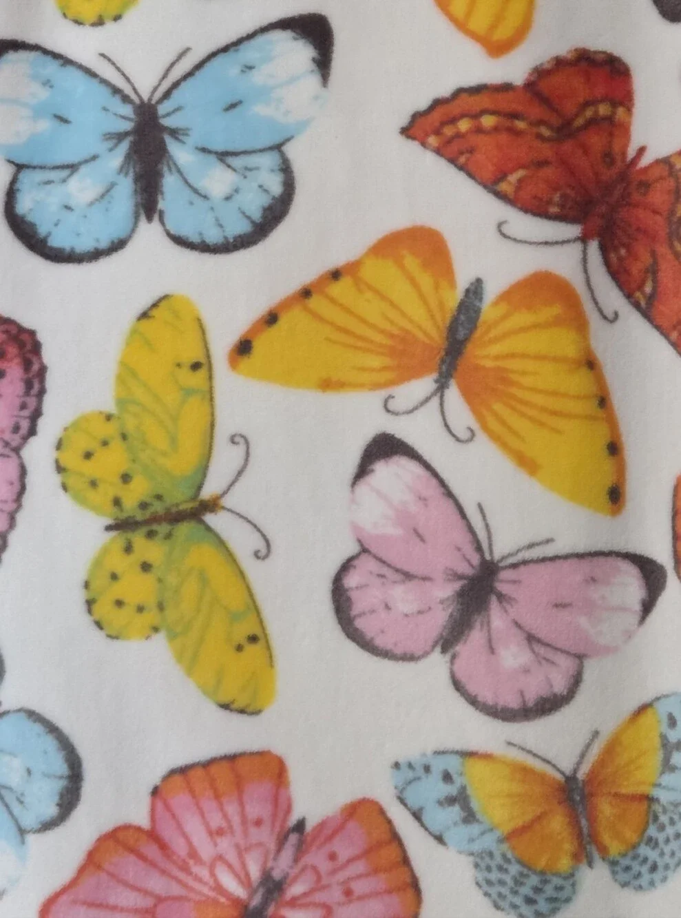 Studio I Butterfly Plush Throw- Multicolor Butterflies